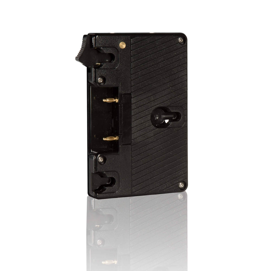 Gold mount lock plate 01_SHAPE_Gold-Mount_Battery_Plate